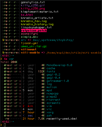 ls++ screenshot